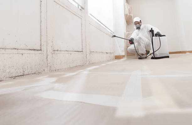 24/7 Emergency Mold Removal experts in Bridgeport, WA