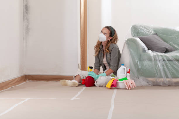 Reliable Mold Remediation contractor in Bridgeport, WA by Cheap Mold Removal